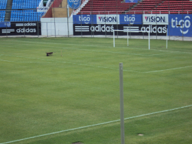Image 01